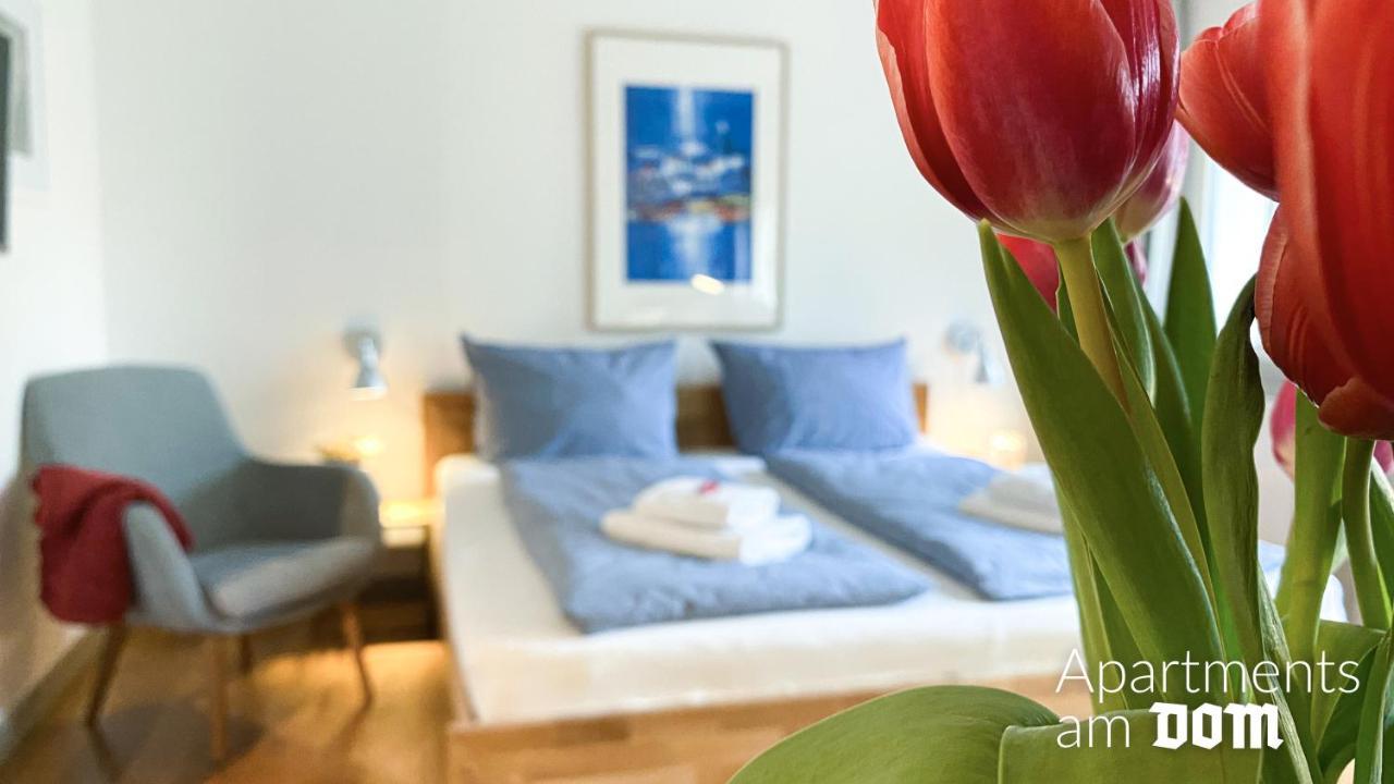 Apartments Am Dom 나움부르크 외부 사진