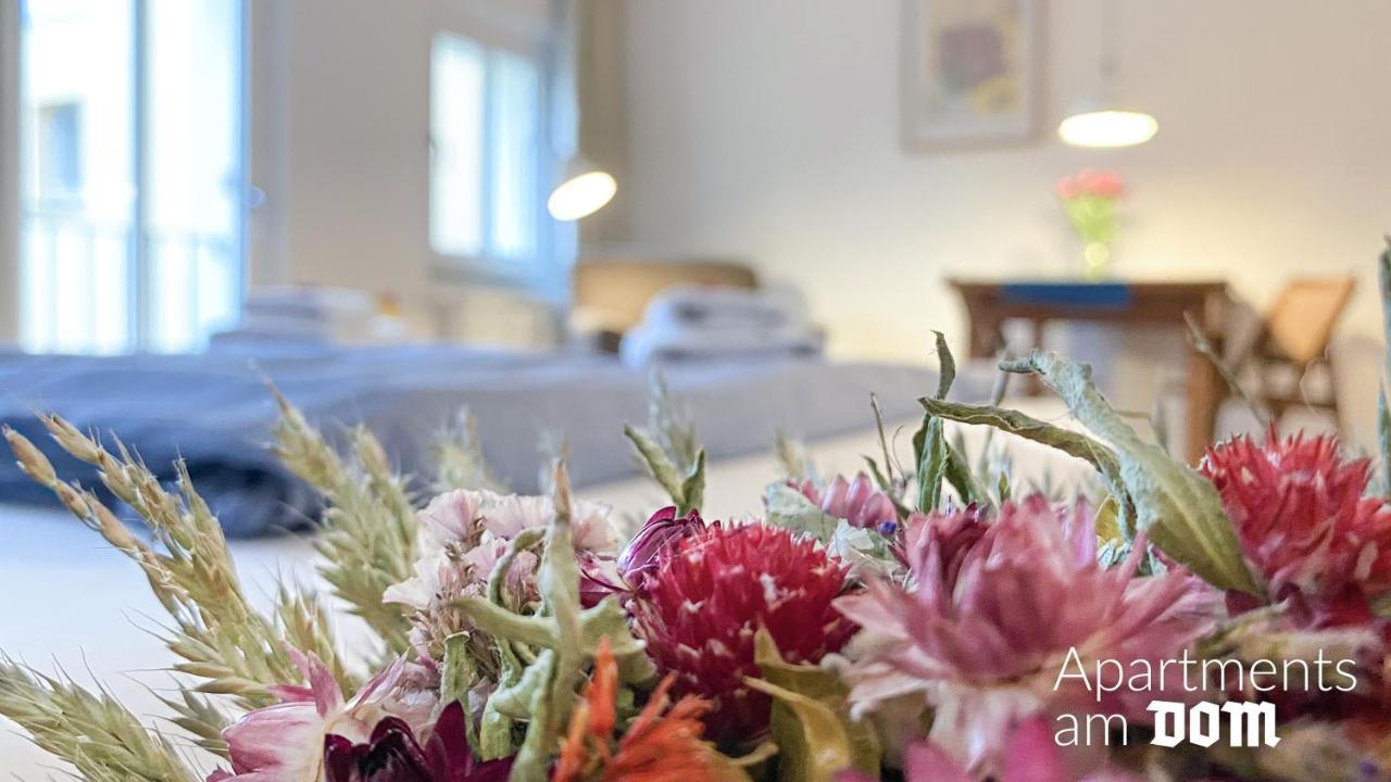 Apartments Am Dom 나움부르크 외부 사진